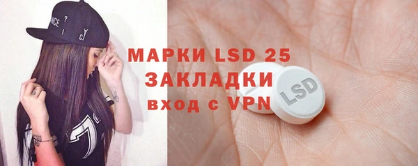 прущие грибы Касимов