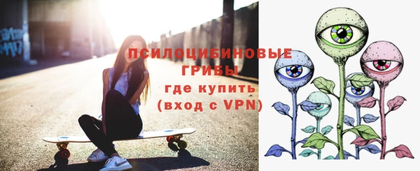 крисы Кинешма