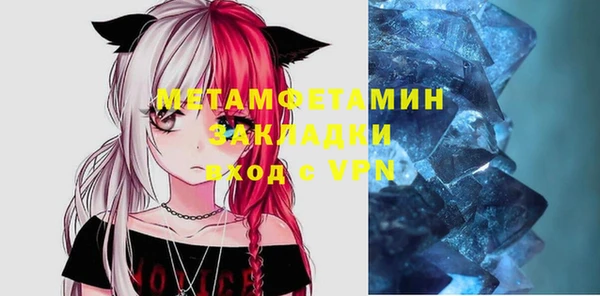 прущие грибы Касимов