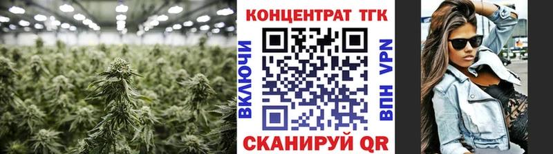 Дистиллят ТГК гашишное масло  Купить закладки  Выборг 