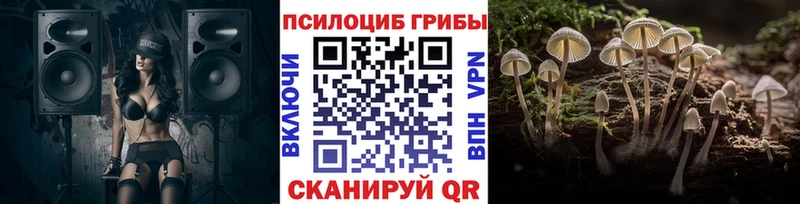 Галлюциногенные грибы Cubensis  Купить  Выборг 
